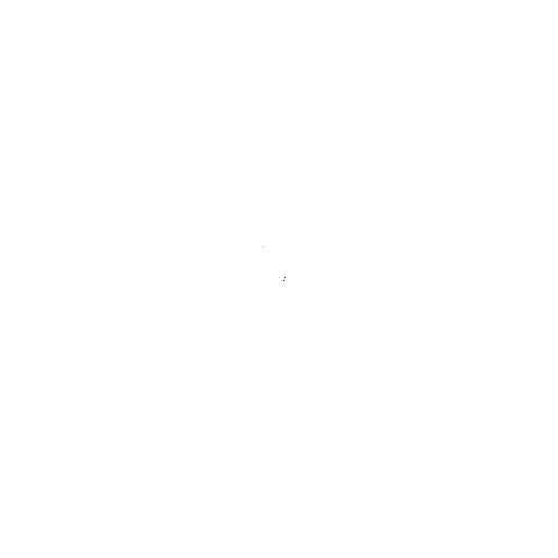 slideshow